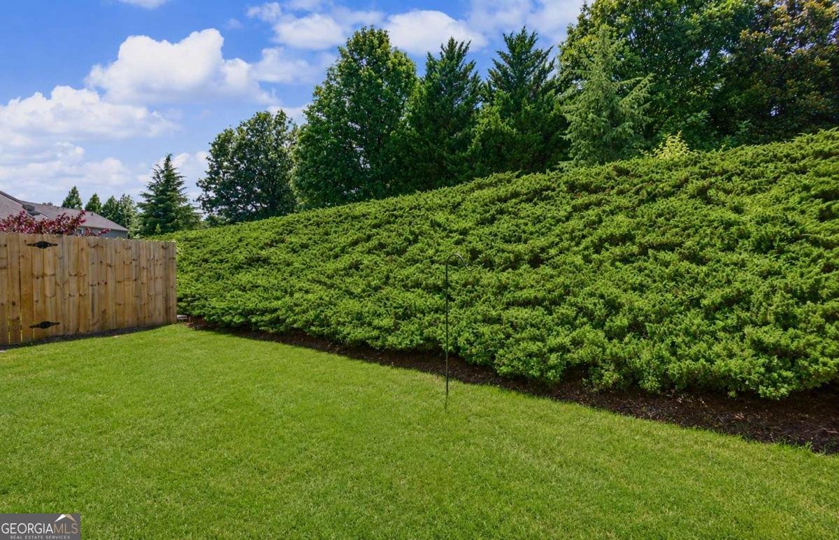 347 Balaban Circle Woodstock - Photo 16
