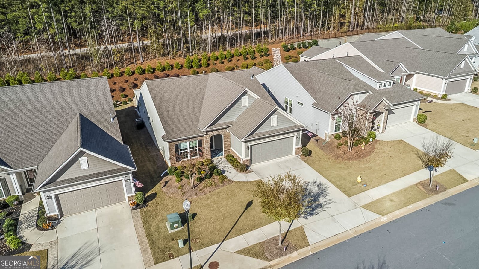 221 Little Gem Court Griffin - Photo 35