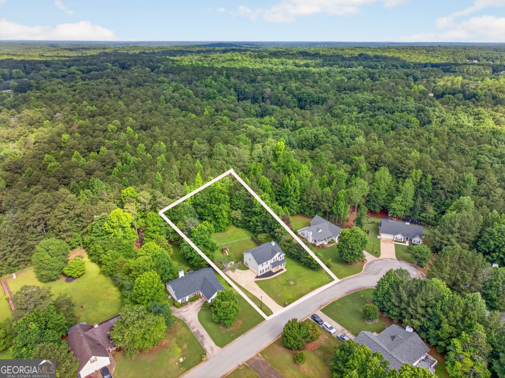65 Hillock Court Covington - Photo 61