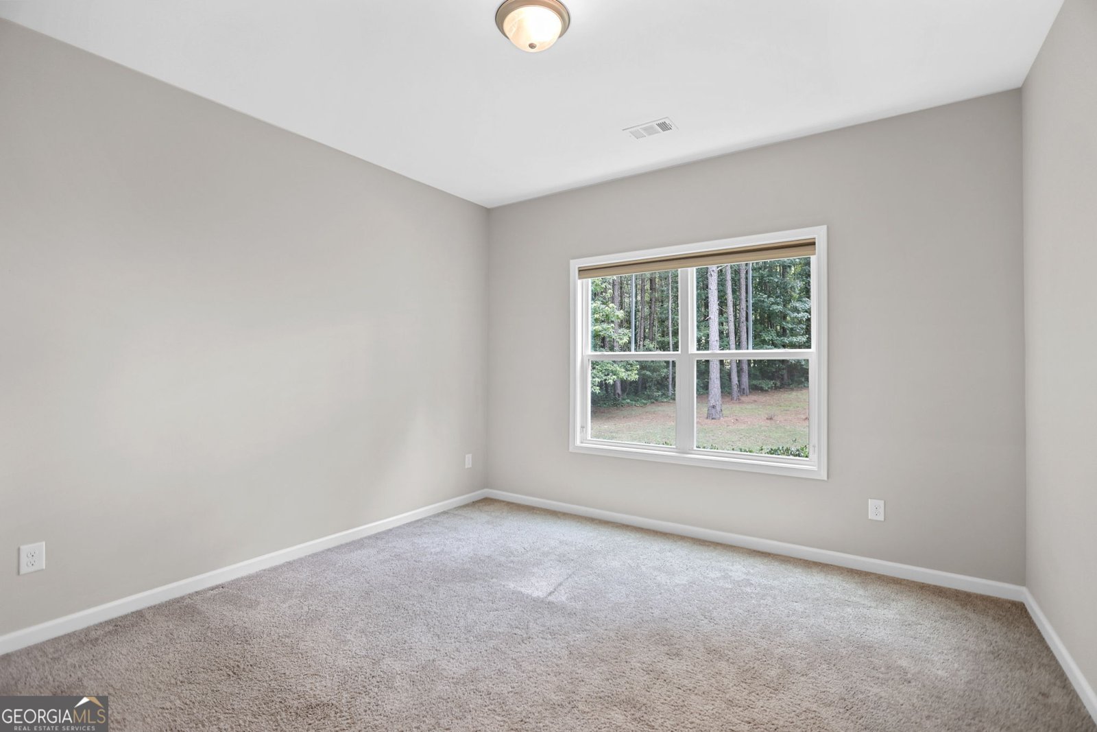 3534 Highway 29 Moreland - Photo 31