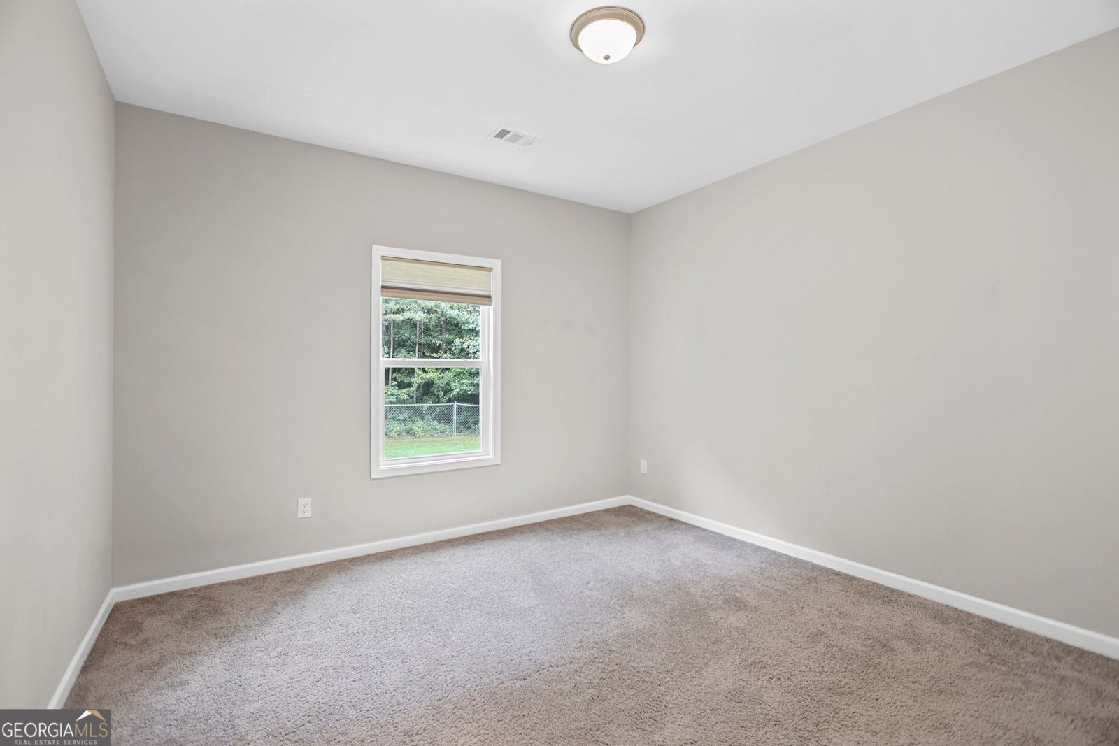 3534 Highway 29 Moreland - Photo 33