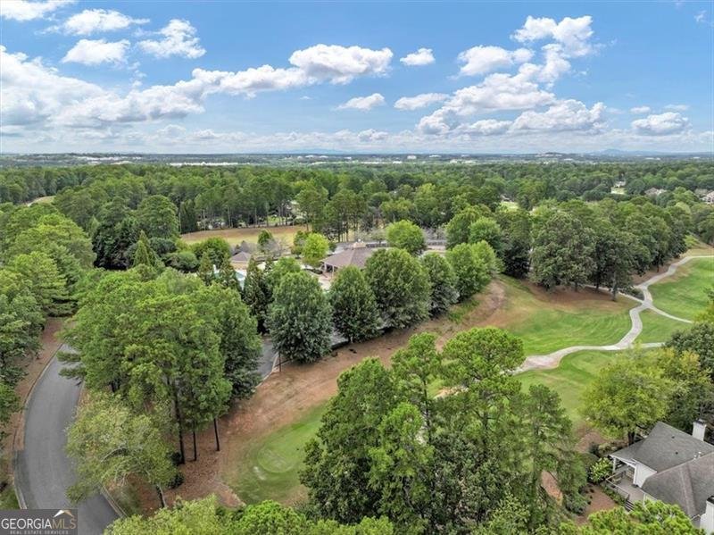 2606 Long Pointe Roswell - Photo 49