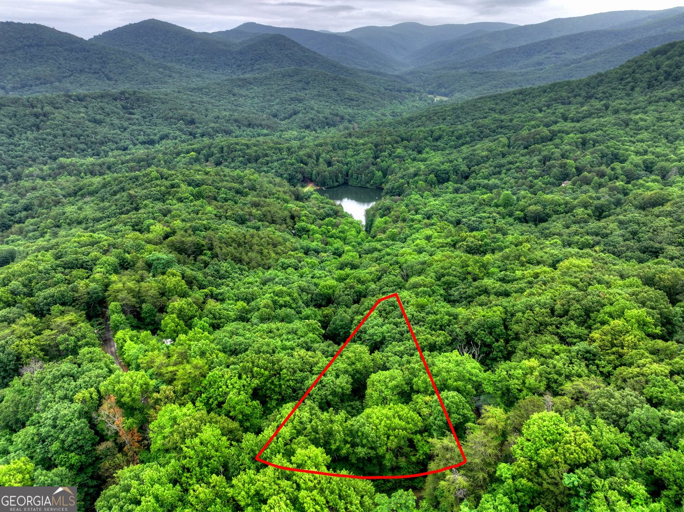 415 Walnut Mountain Road Ellijay - Photo 33