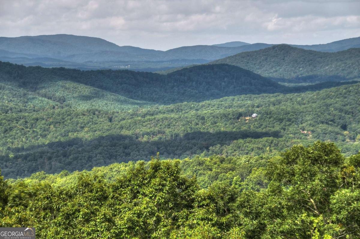 1404 Mountain High Drive Mineral Bluff - Photo 36