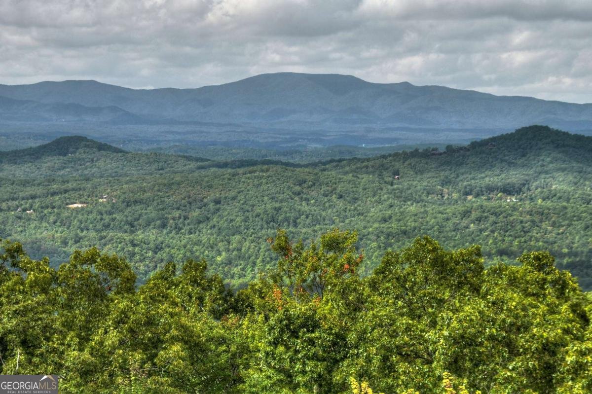 1404 Mountain High Drive Mineral Bluff - Photo 37