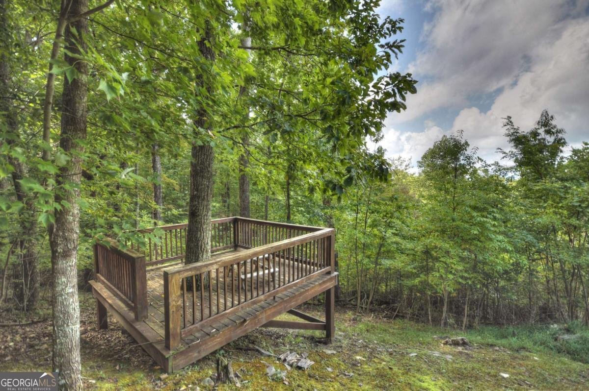 1404 Mountain High Drive Mineral Bluff - Photo 49