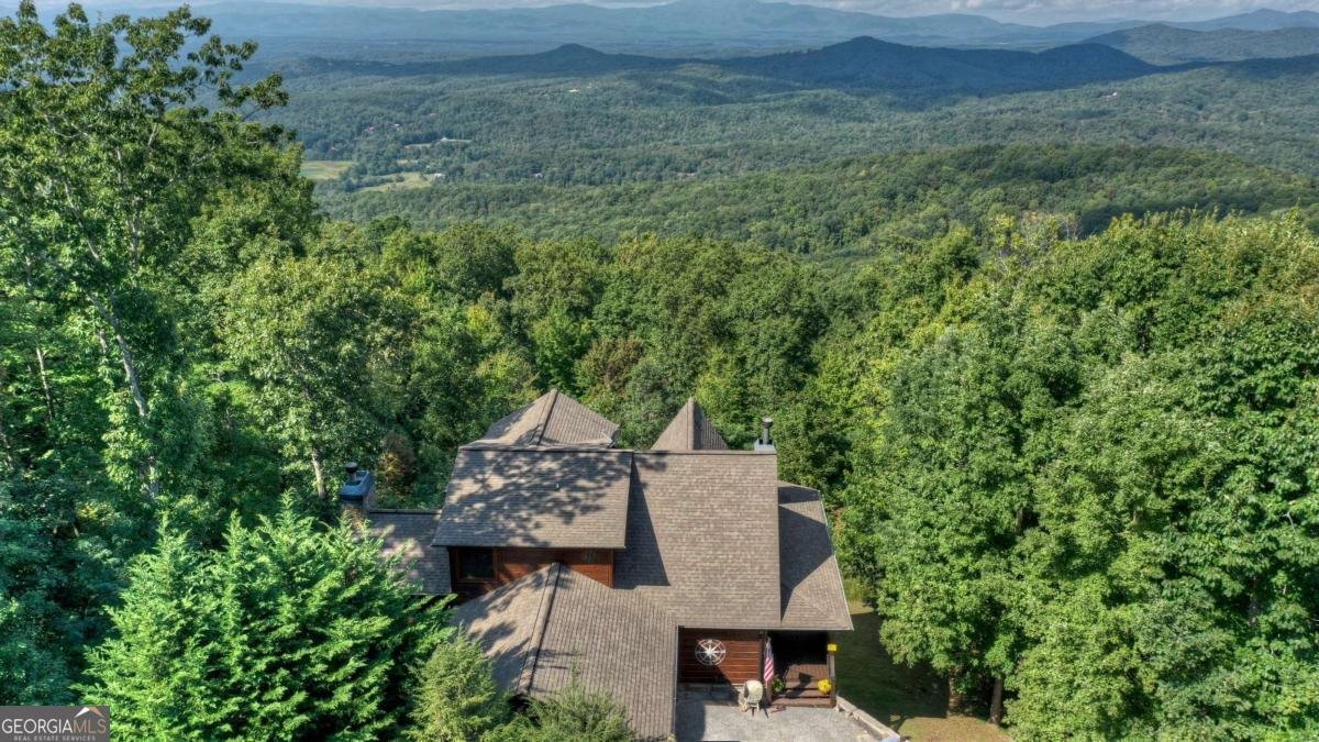 1404 Mountain High Drive Mineral Bluff - Photo 52
