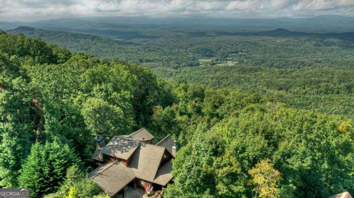 1404 Mountain High Drive Mineral Bluff - Photo 53