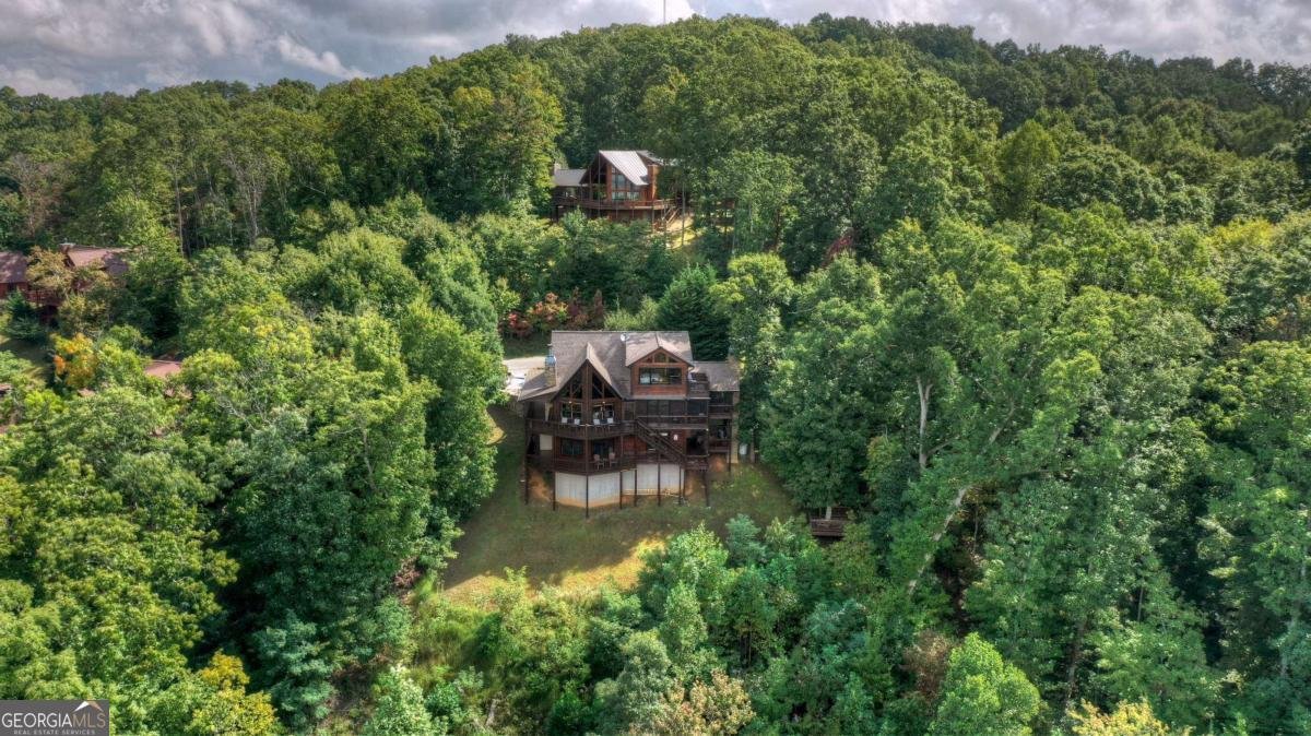 1404 Mountain High Drive Mineral Bluff - Photo 54