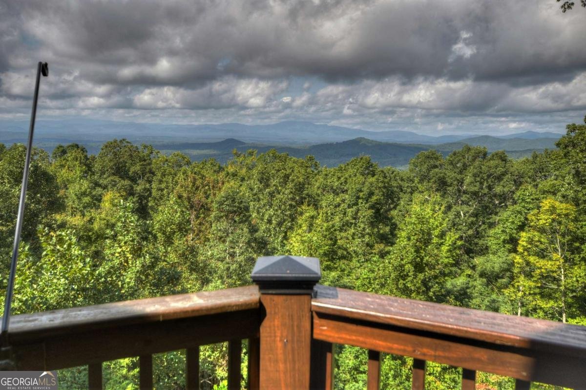 1404 Mountain High Drive Mineral Bluff - Photo 9