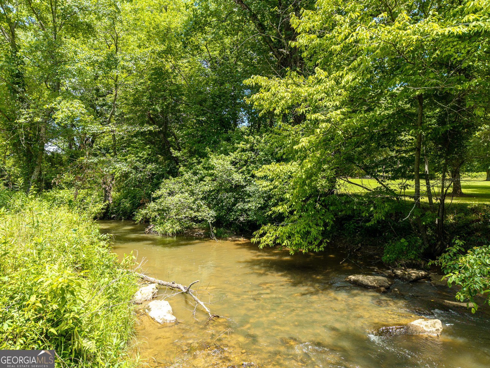 965 Bell Road Mineral Bluff - Photo 59