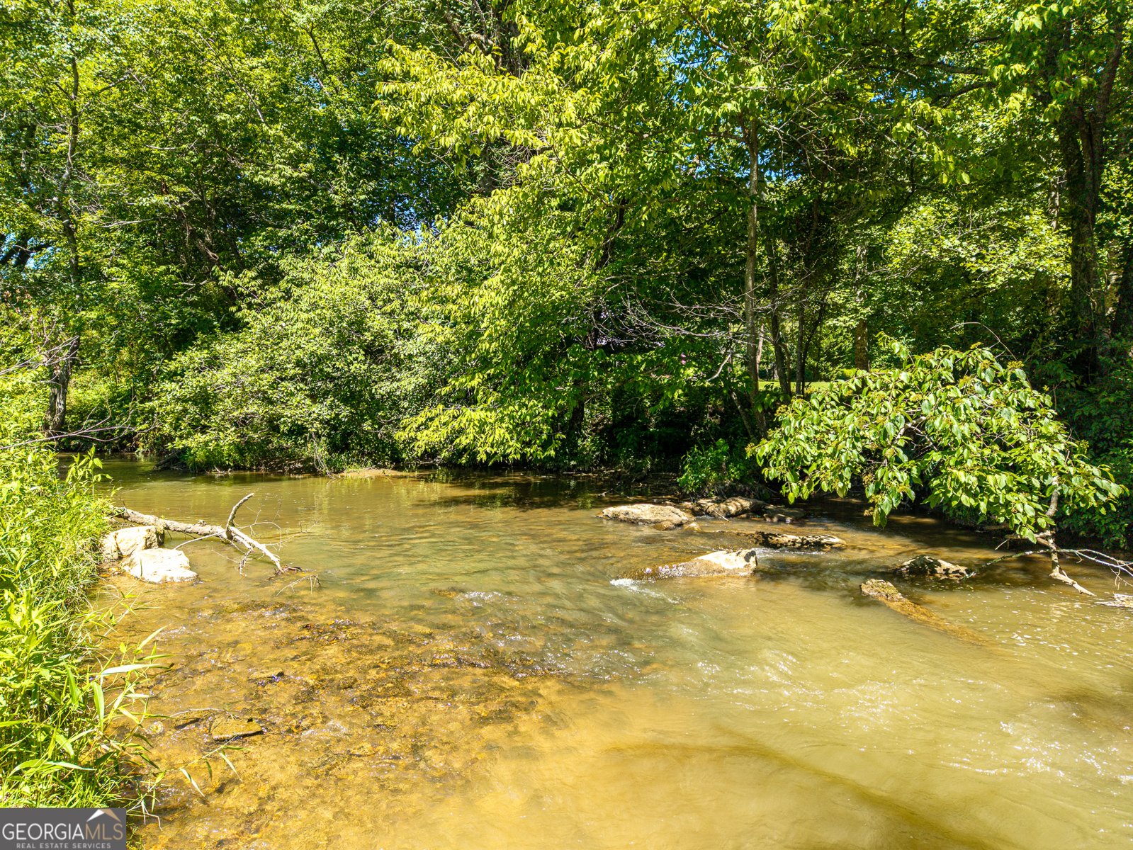 965 Bell Road Mineral Bluff - Photo 62