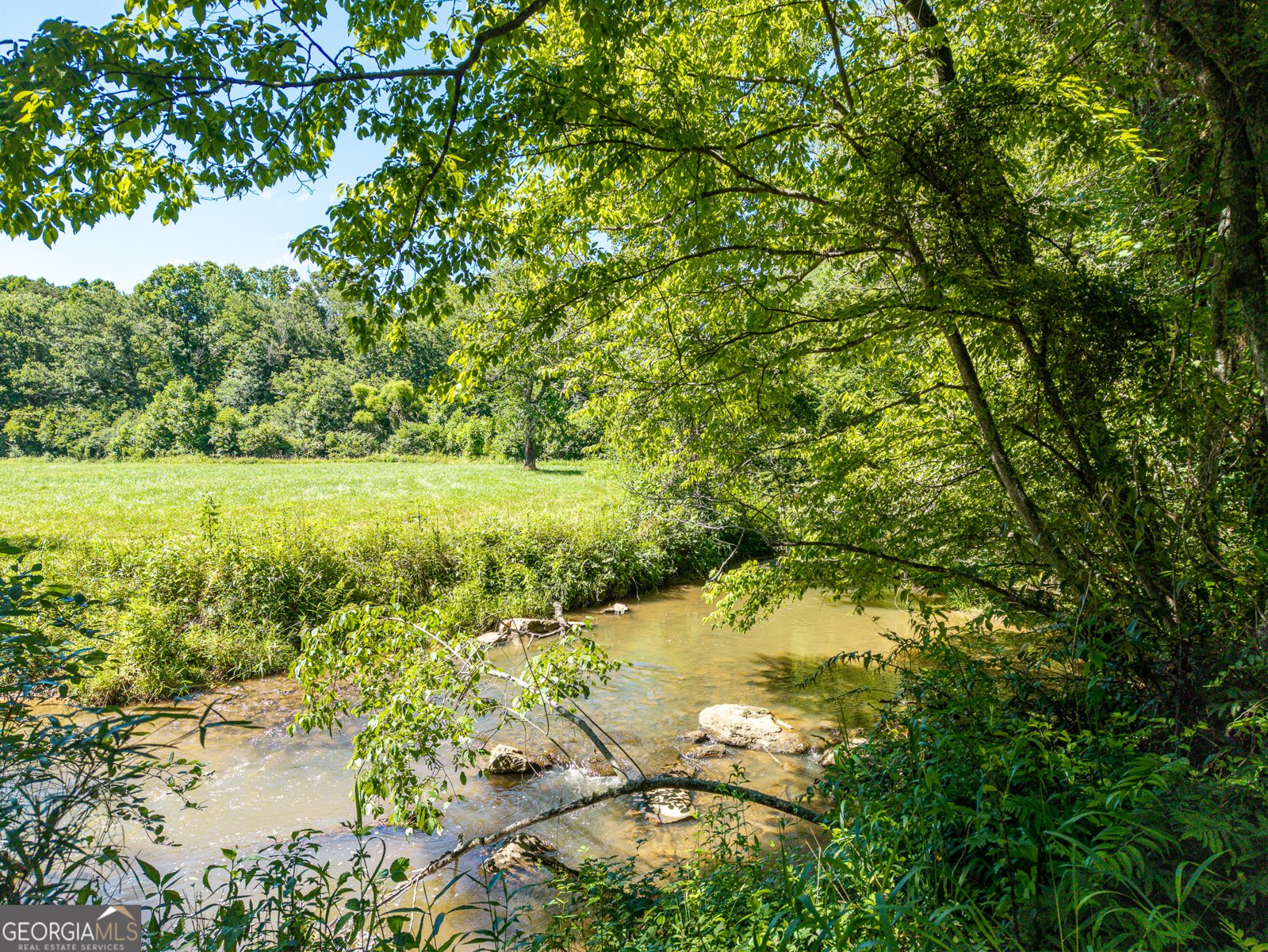 965 Bell Road Mineral Bluff - Photo 63