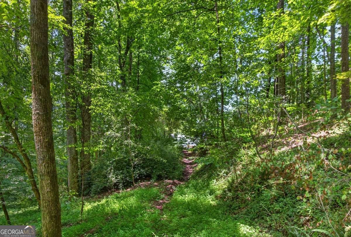 1965 Highway 52 Ellijay - Photo 45