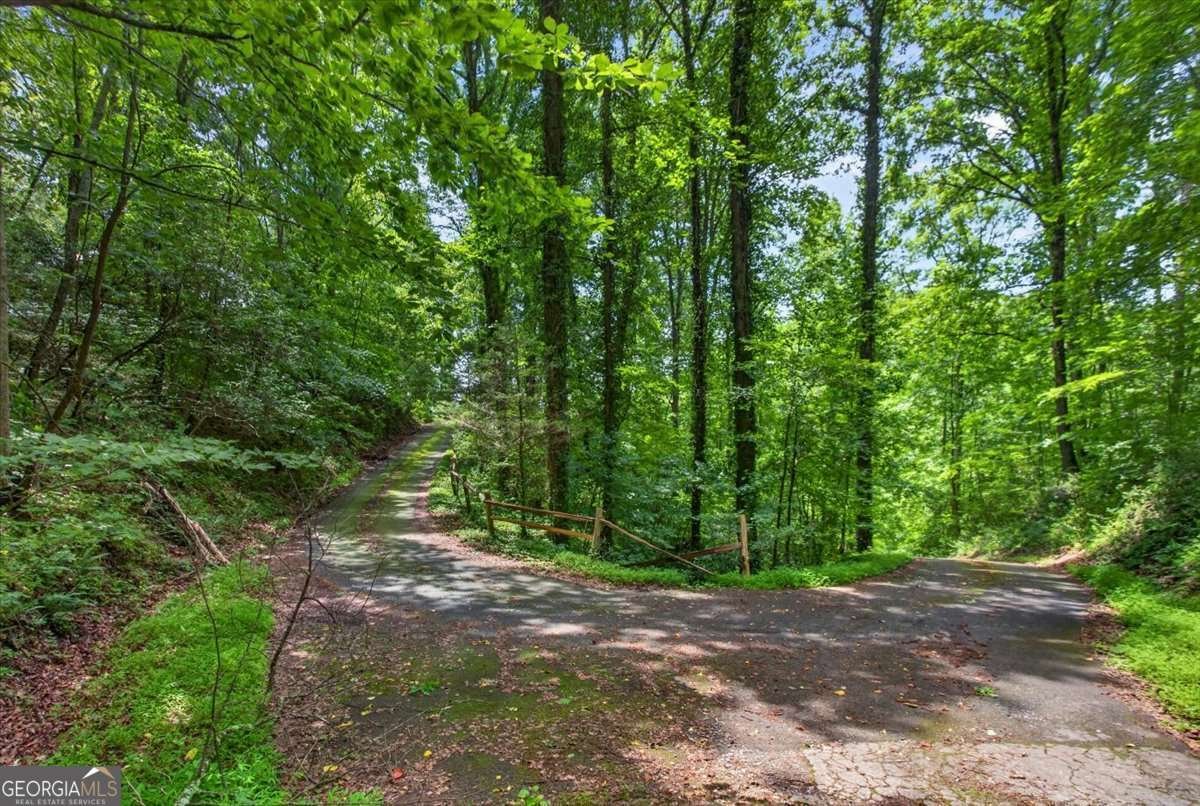 1965 Highway 52 Ellijay - Photo 49