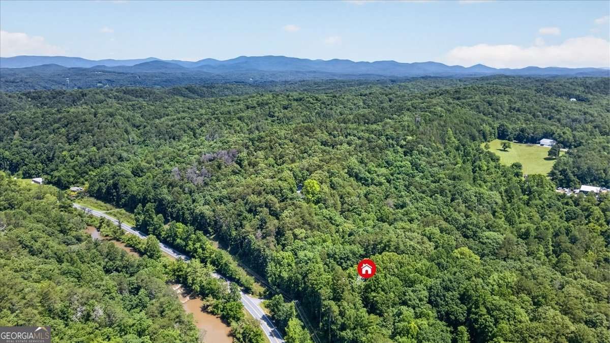 1965 Highway 52 Ellijay - Photo 54
