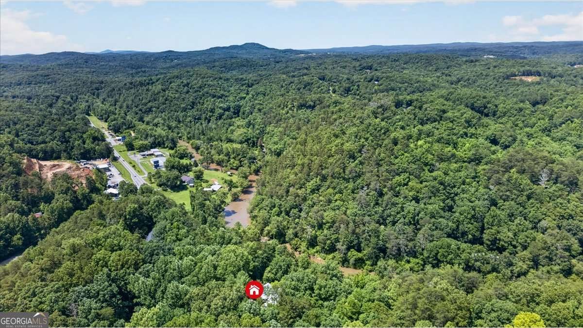 1965 Highway 52 Ellijay - Photo 56