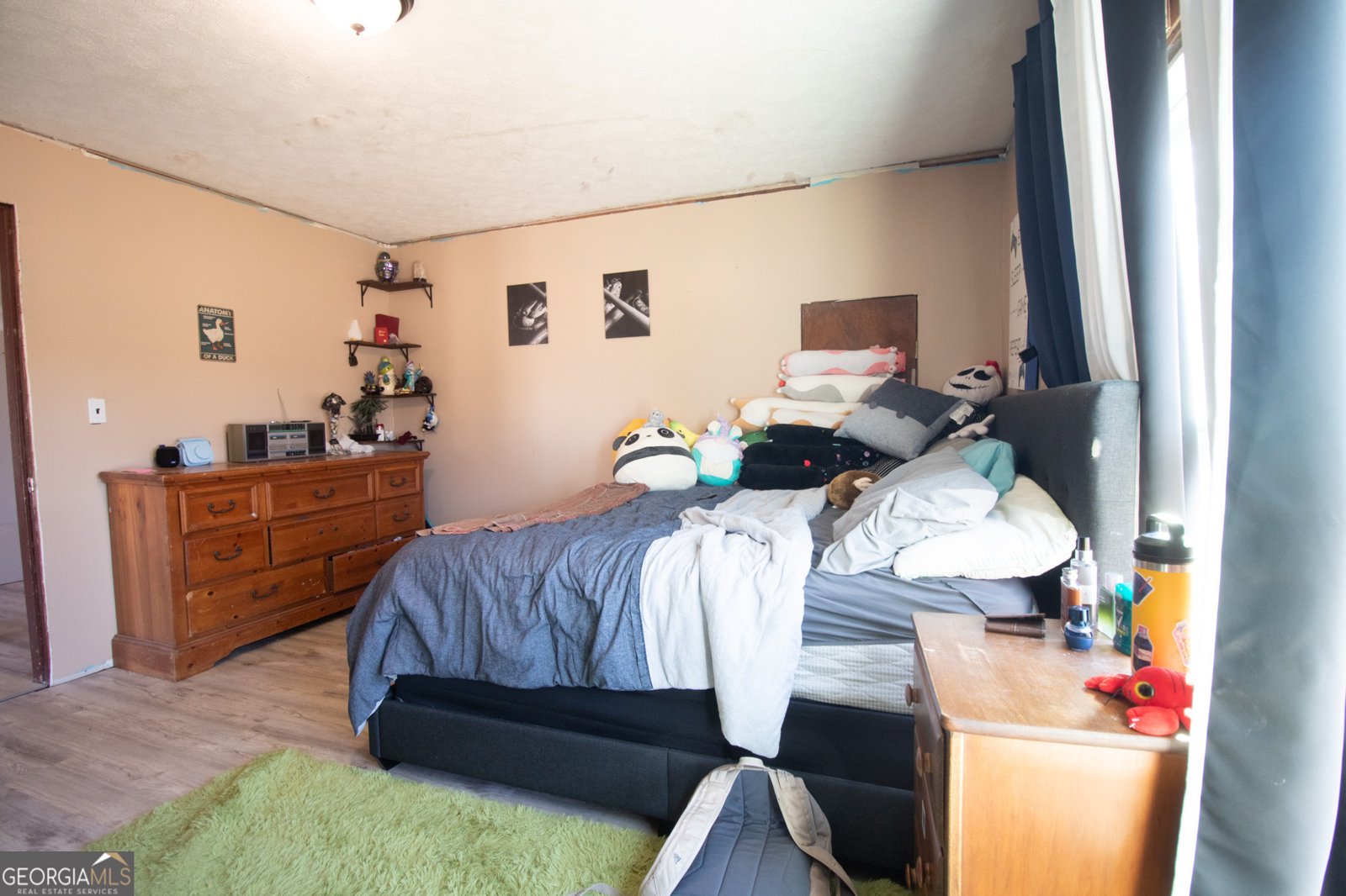 215 Brown Springs Road Milner - Photo 51