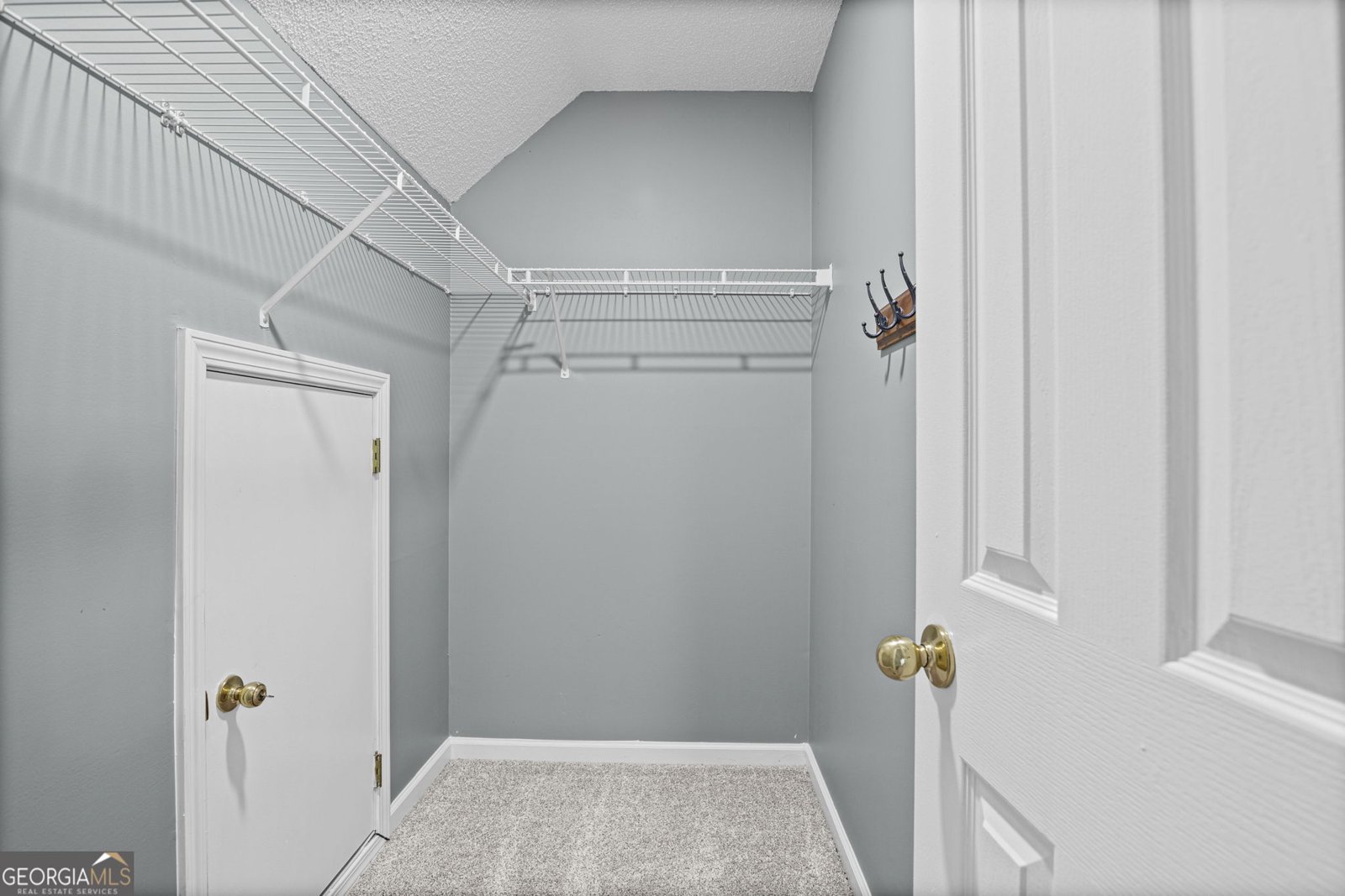 20 Hamstead Park Drive Sharpsburg - Photo 30