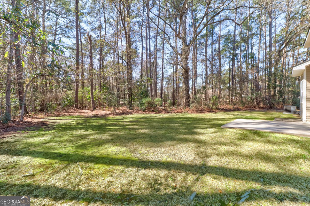 811 Rosalie Court Rincon - Photo 33