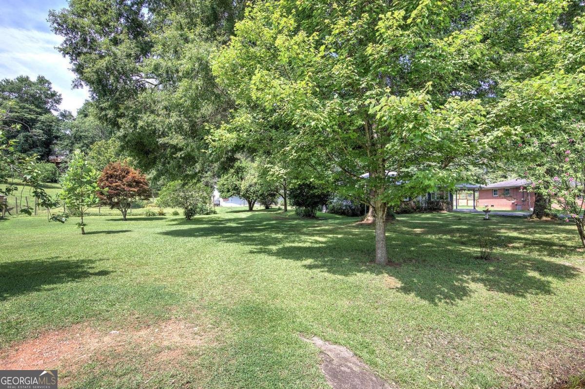 250 State Route 20 SPUR Cartersville - Photo 51