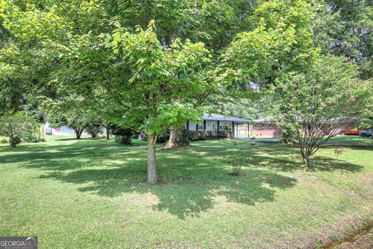 250 State Route 20 SPUR Cartersville - Photo 52