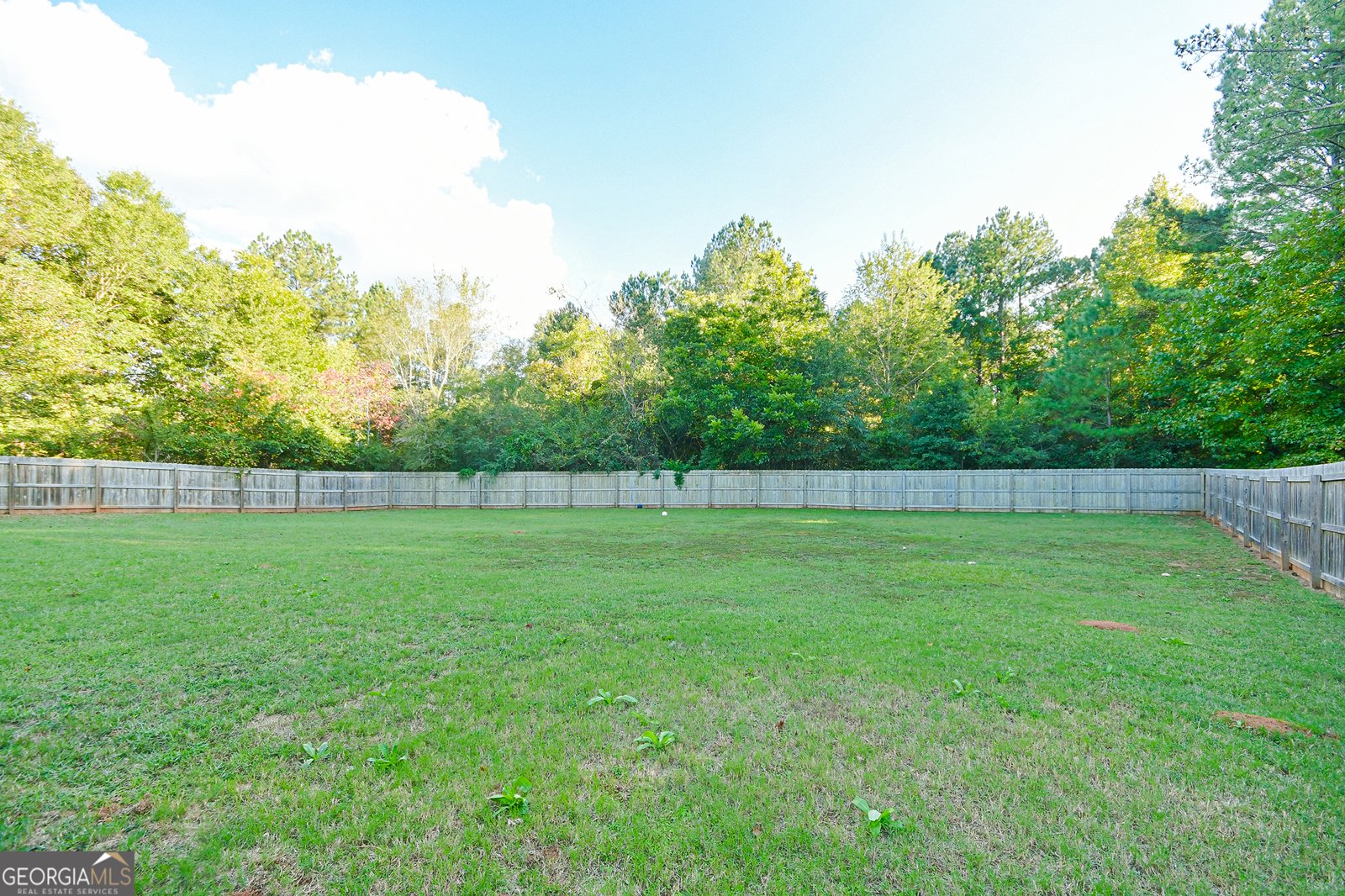 387 Fern Court Hoschton - Photo 50