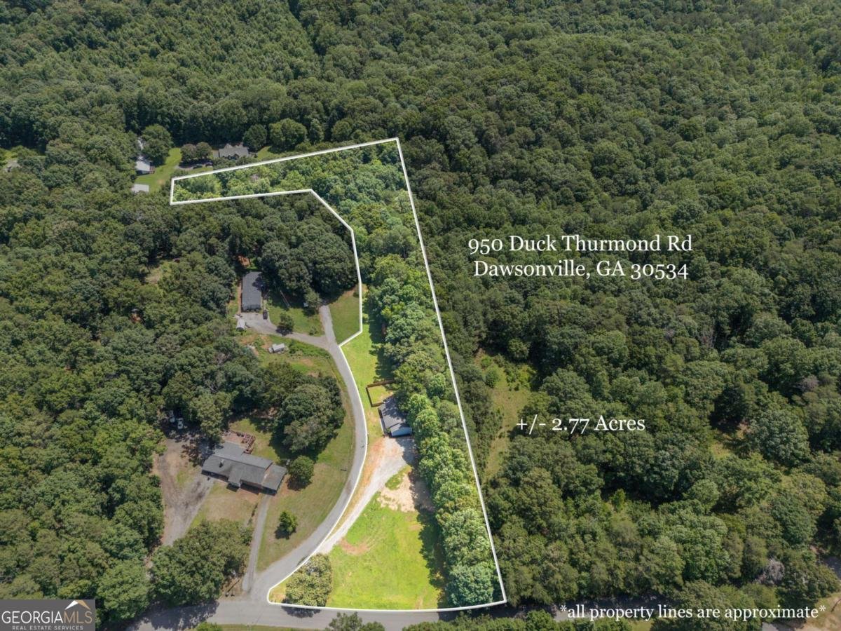 950 Duck Thurmond Road Dawsonville - Photo 34