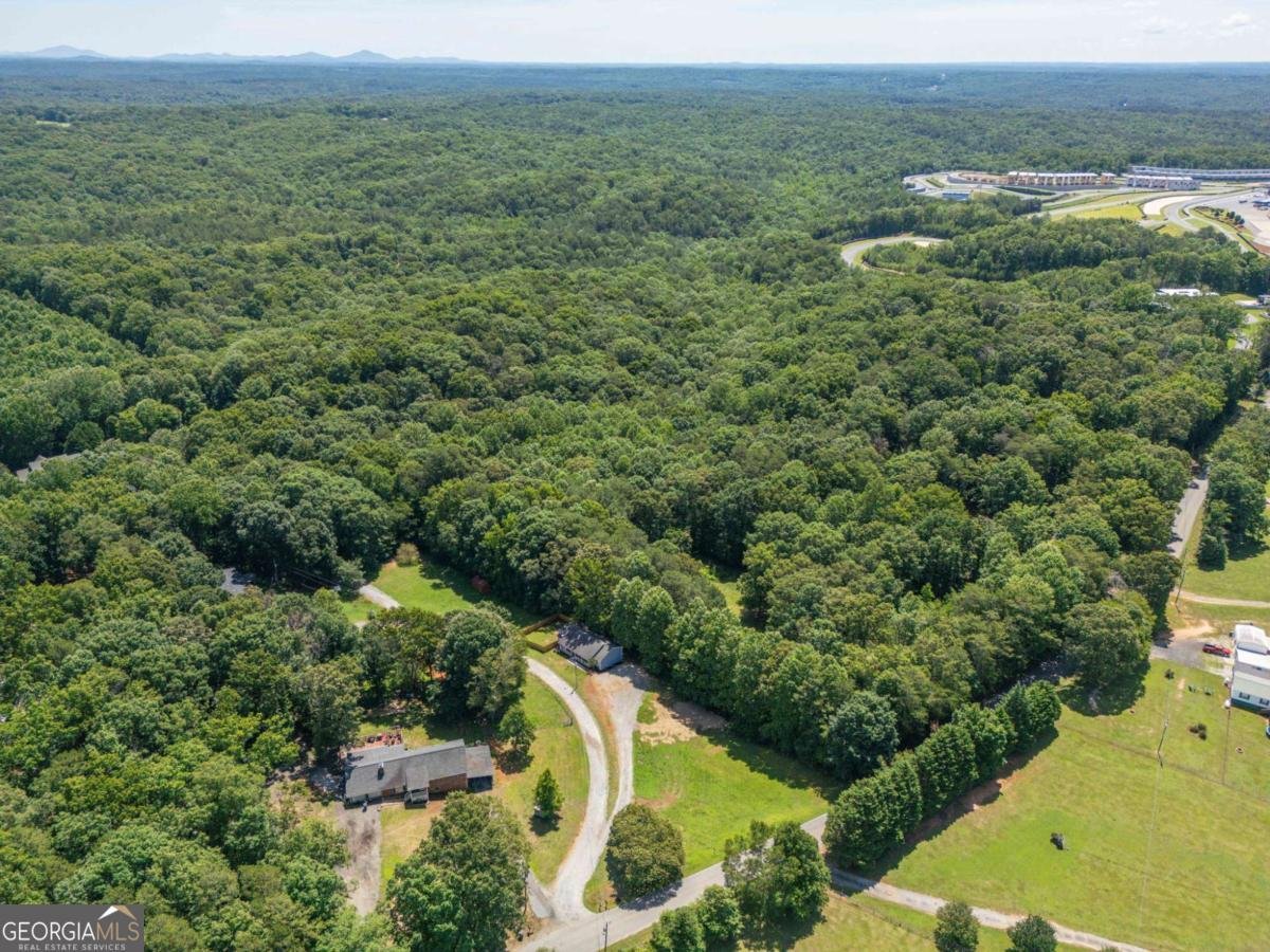 950 Duck Thurmond Road Dawsonville - Photo 35