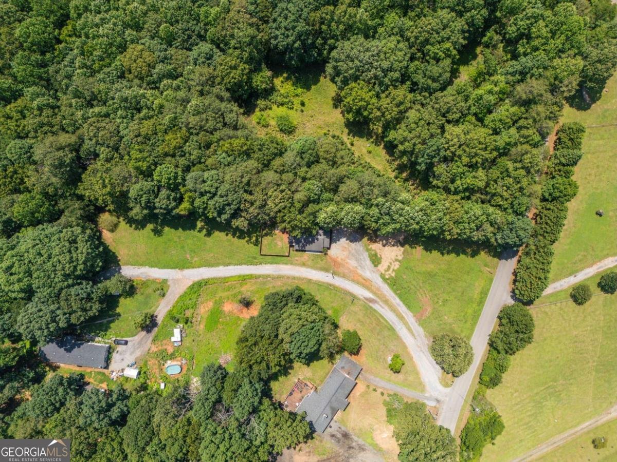 950 Duck Thurmond Road Dawsonville - Photo 37