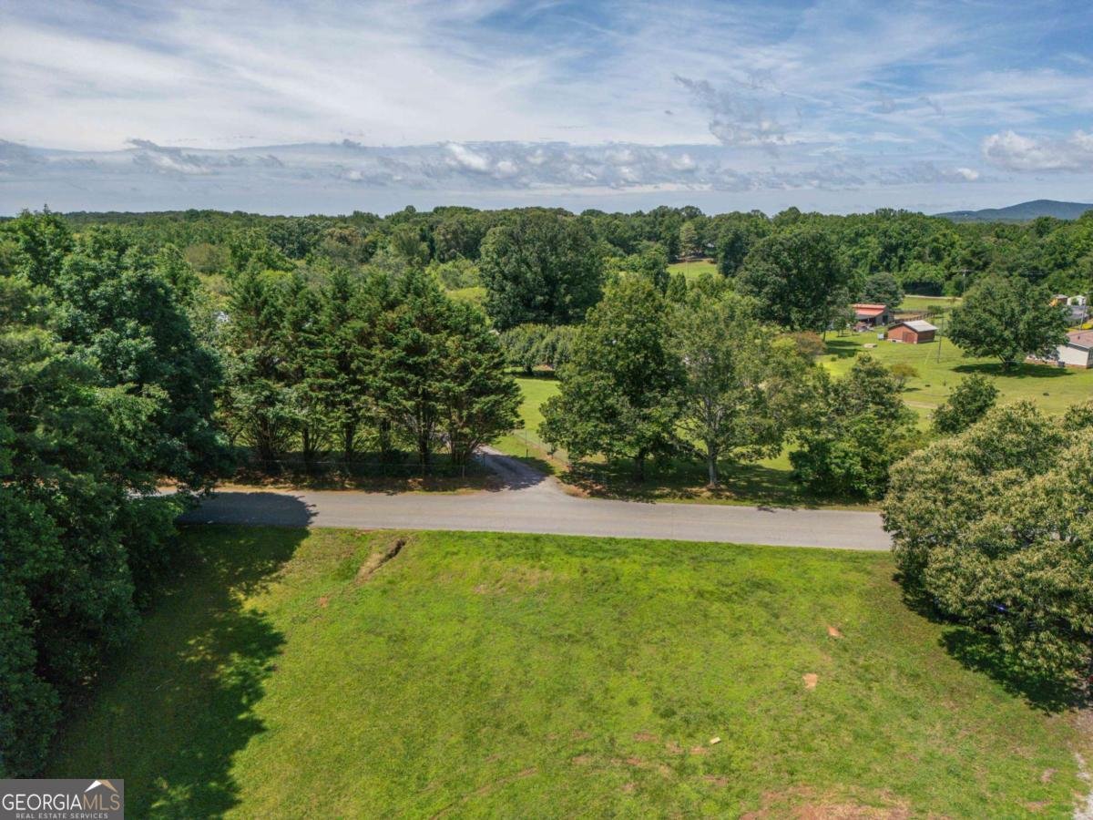 950 Duck Thurmond Road Dawsonville - Photo 39