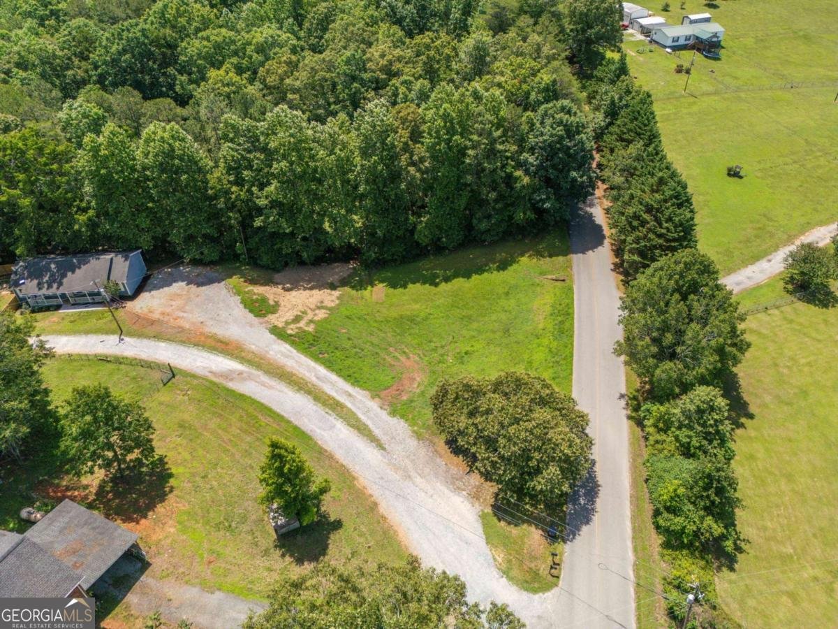 950 Duck Thurmond Road Dawsonville - Photo 42