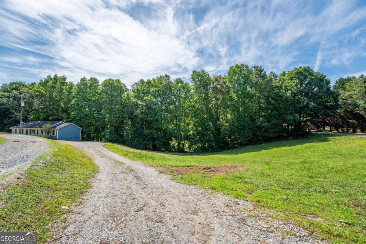 950 Duck Thurmond Road Dawsonville - Photo 44