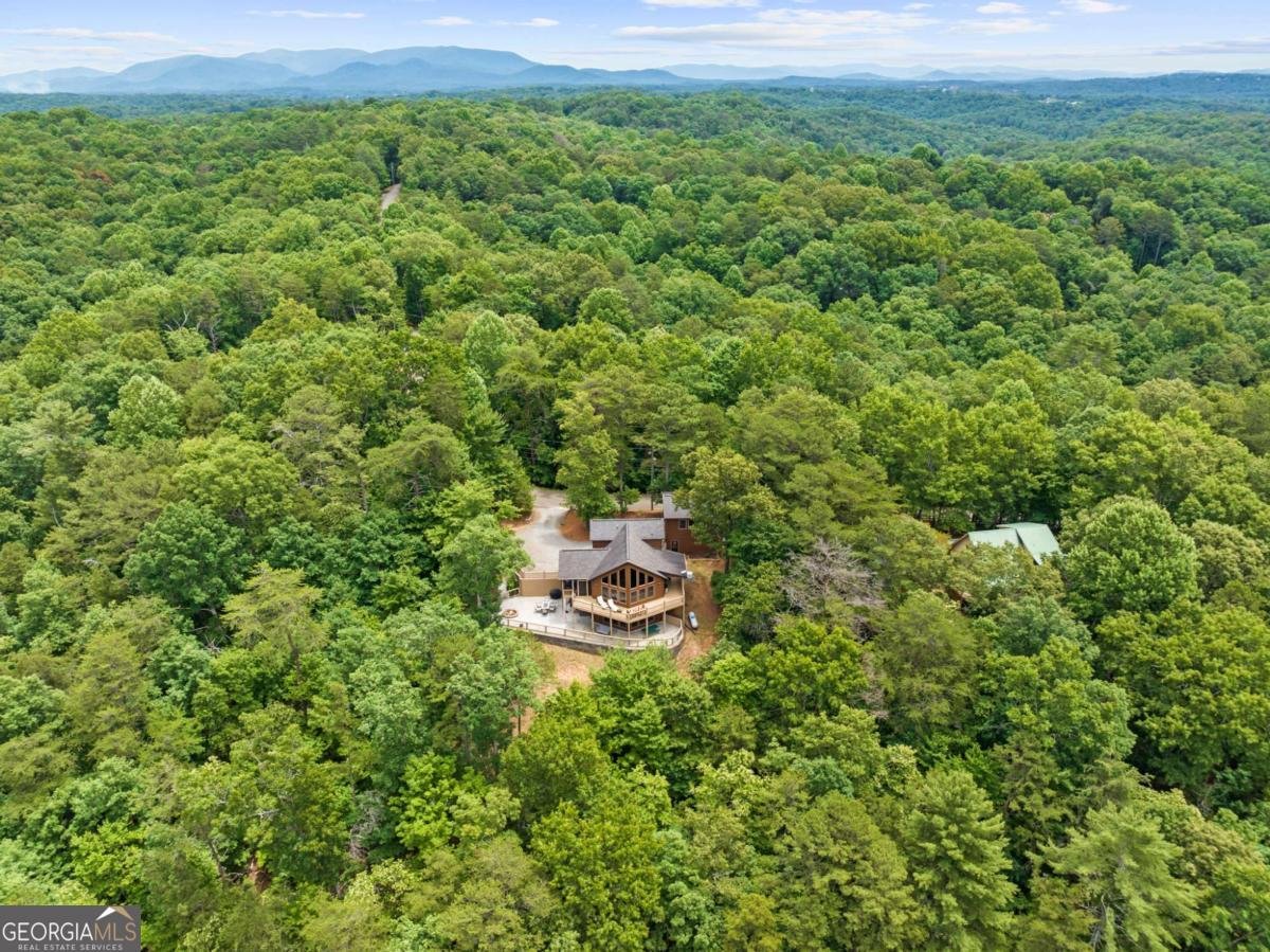 280 Palmetto Drive Ellijay - Photo 10