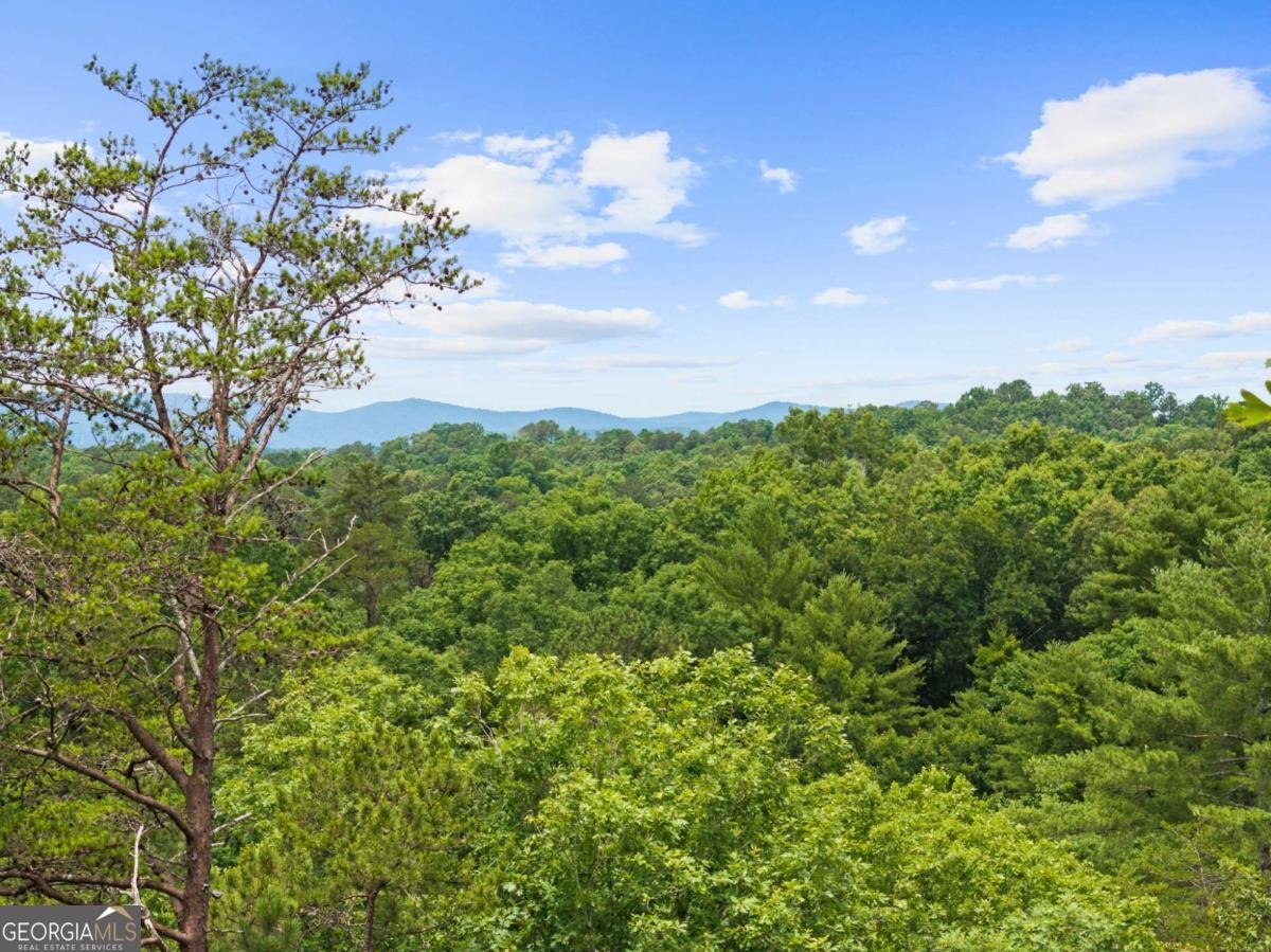 280 Palmetto Drive Ellijay - Photo 11