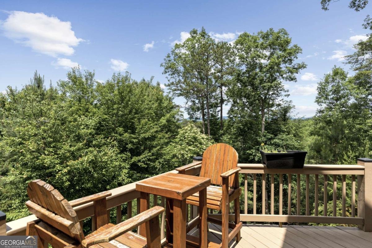 280 Palmetto Drive Ellijay - Photo 38