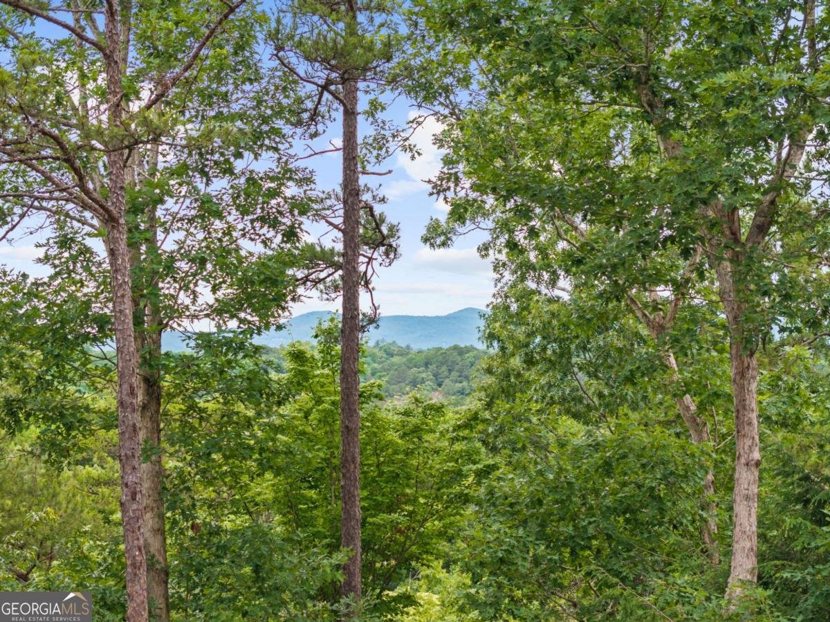 280 Palmetto Drive Ellijay - Photo 8