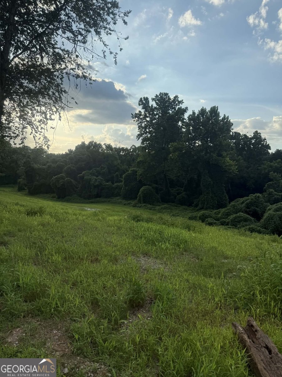 161 Holcomb Ferry Road Roswell - Photo 24