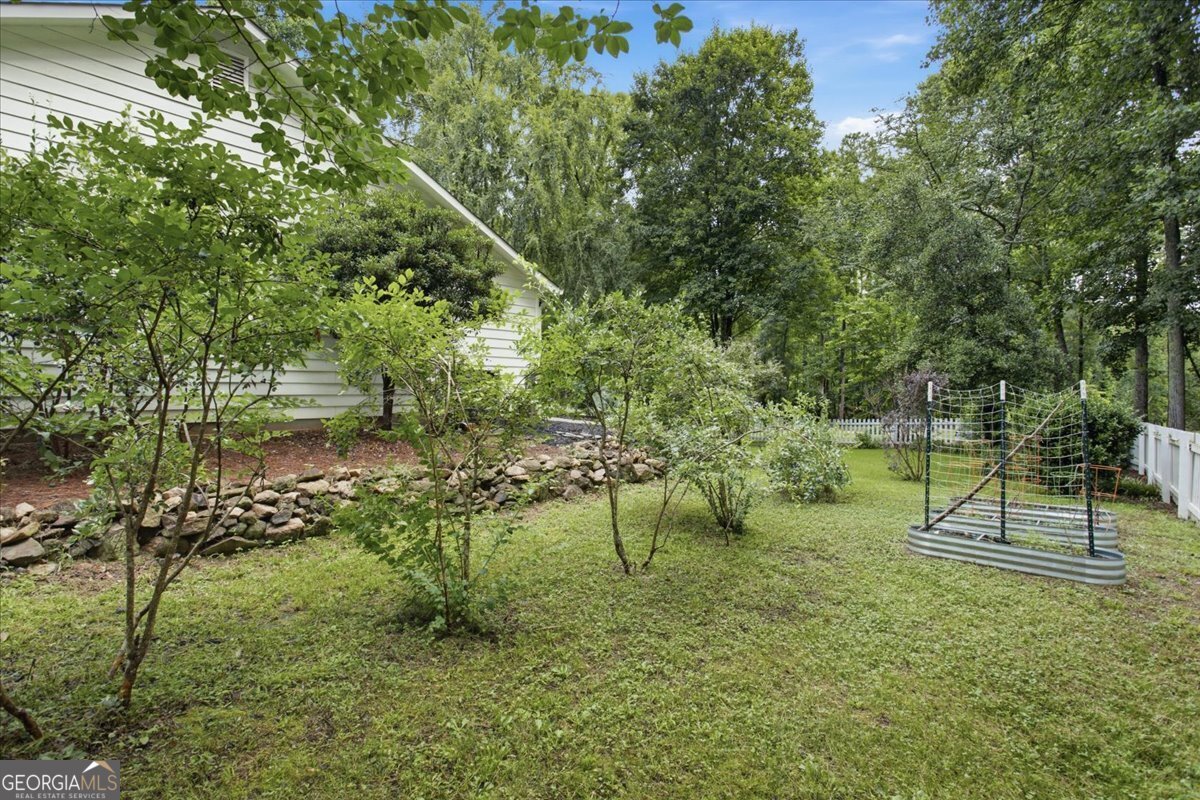 267 Joe Cox Road Sharpsburg - Photo 65