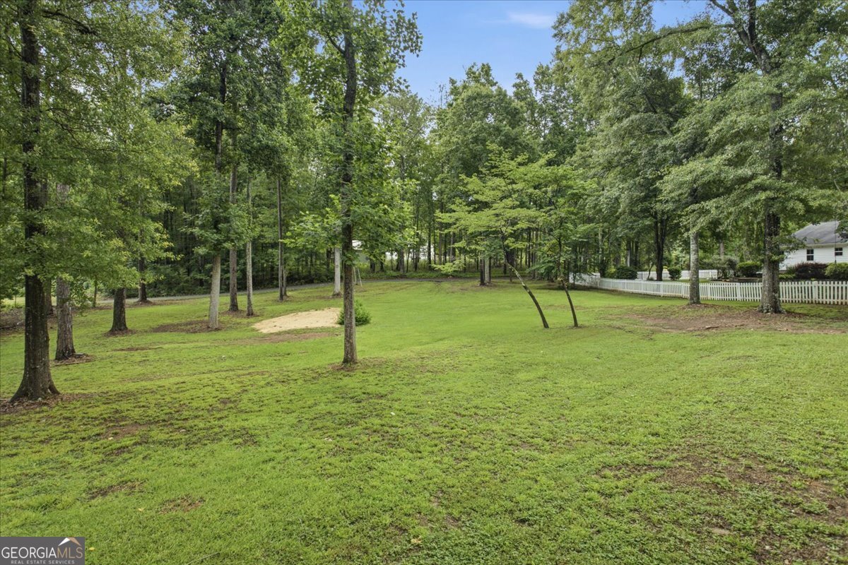267 Joe Cox Road Sharpsburg - Photo 68