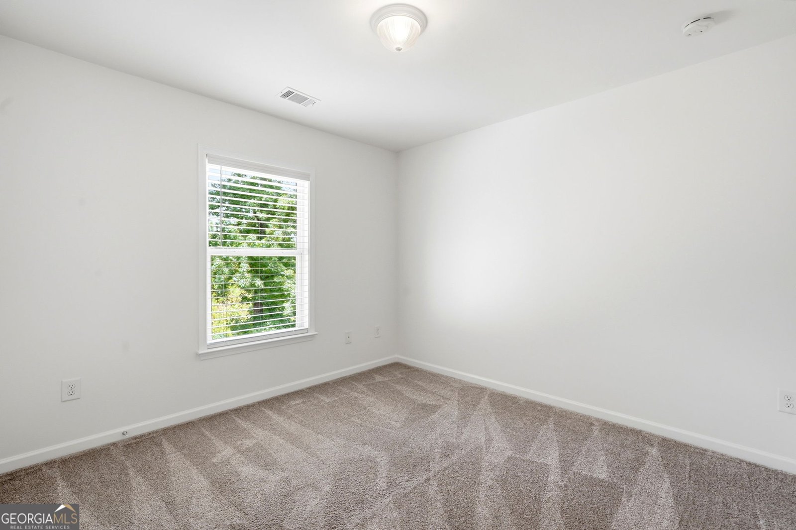111 Bevington Lane Woodstock - Photo 29