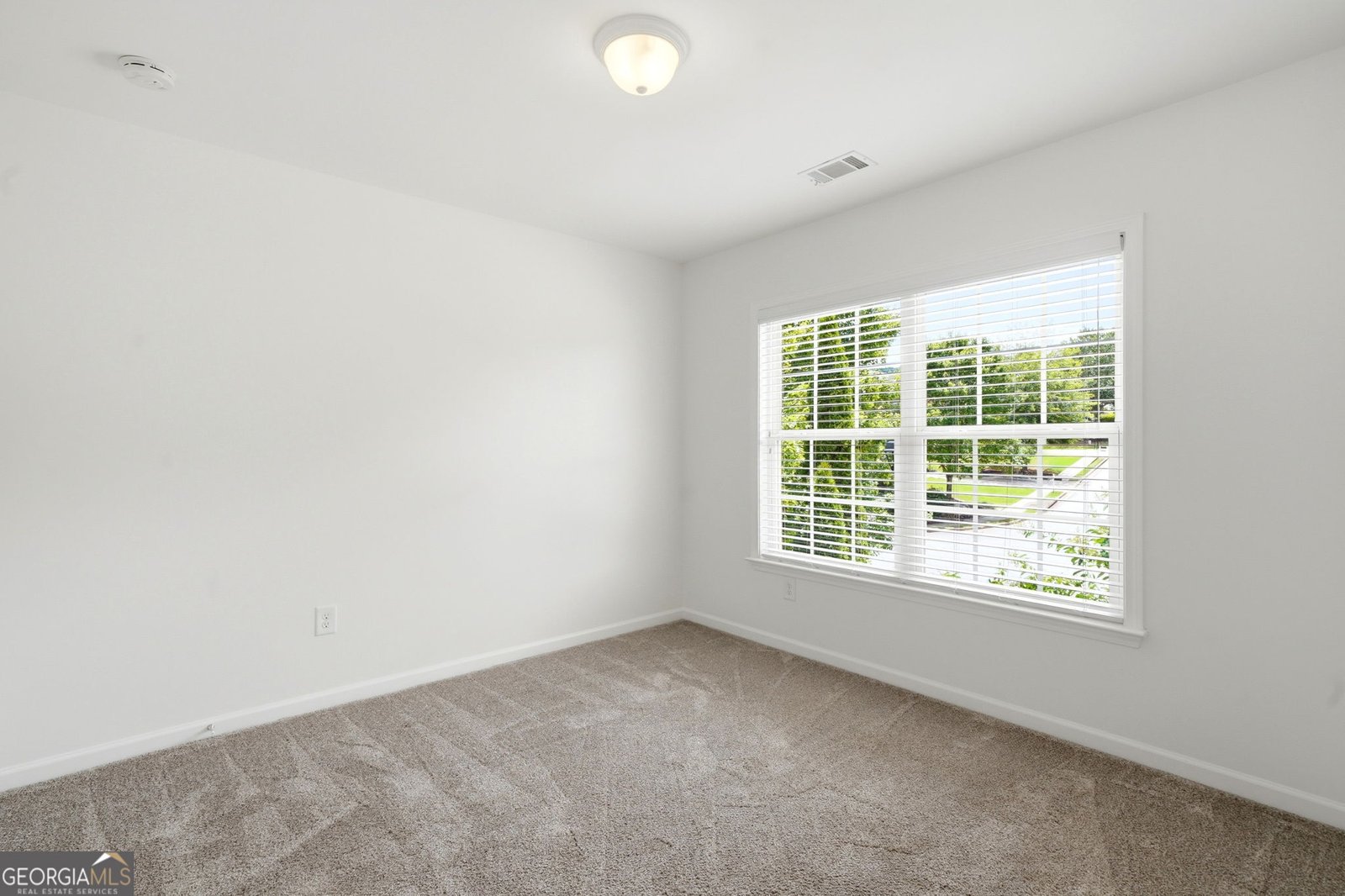 111 Bevington Lane Woodstock - Photo 31