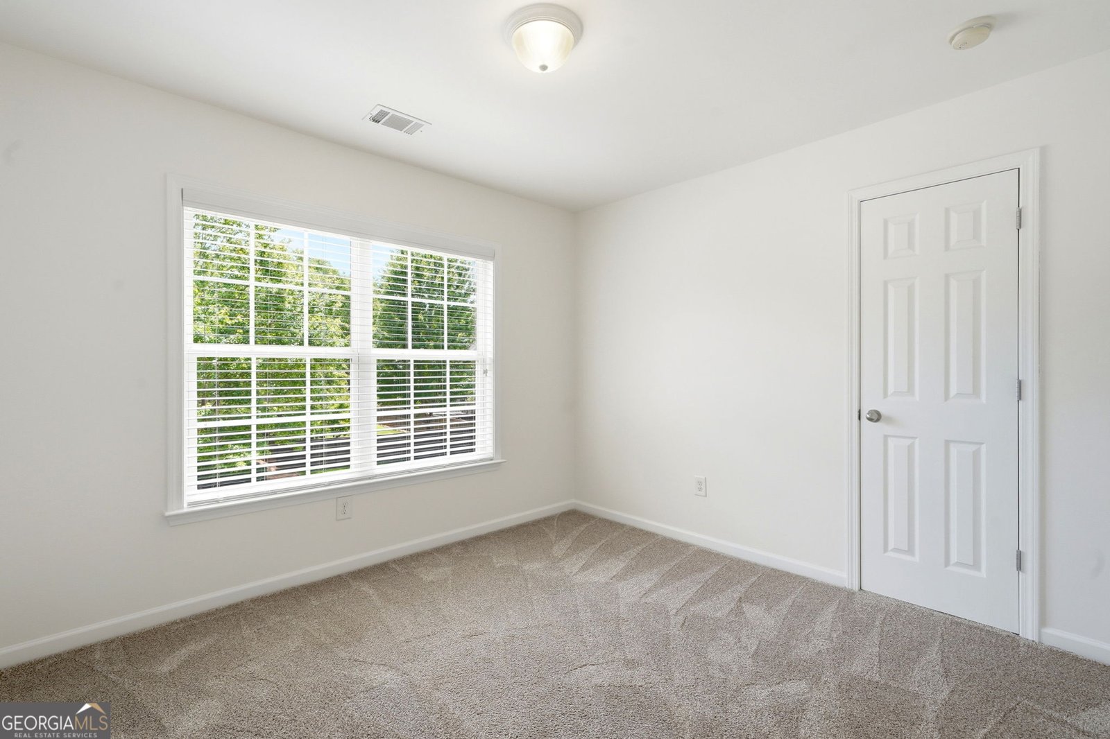 111 Bevington Lane Woodstock - Photo 33