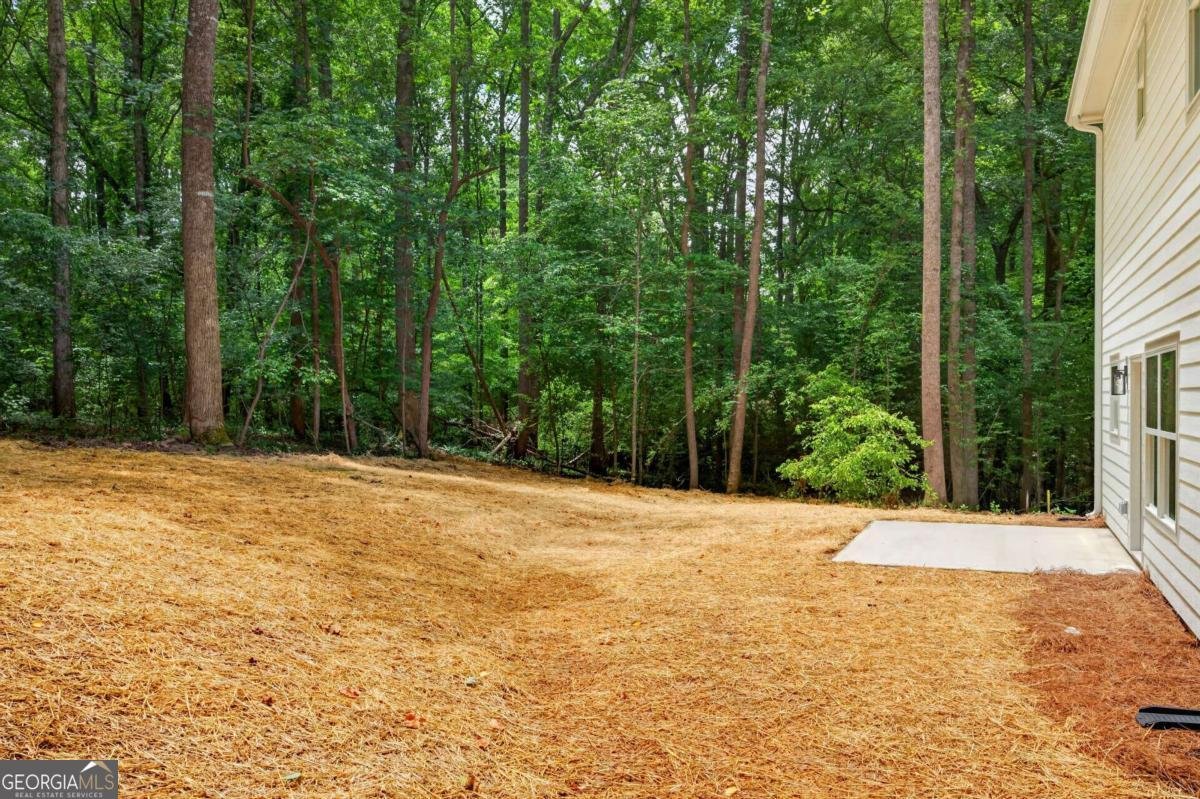 250 Sundown Drive Dawsonville - Photo 44