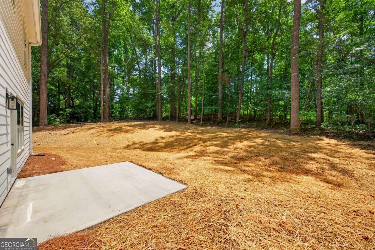 250 Sundown Drive Dawsonville - Photo 45