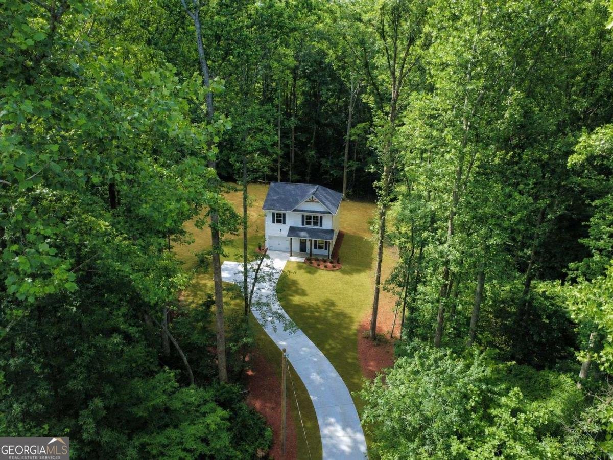 250 Sundown Drive Dawsonville - Photo 49