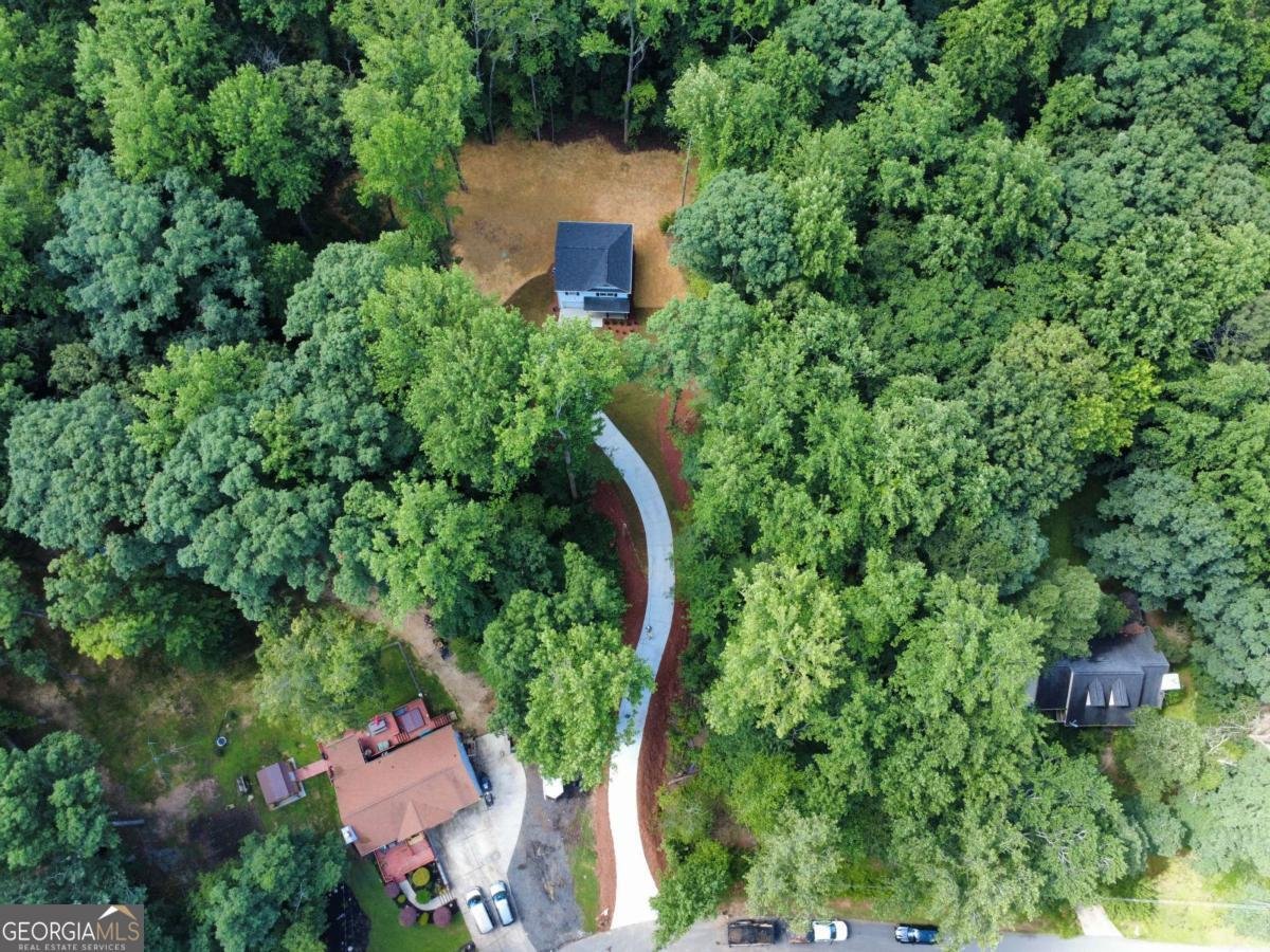 250 Sundown Drive Dawsonville - Photo 50