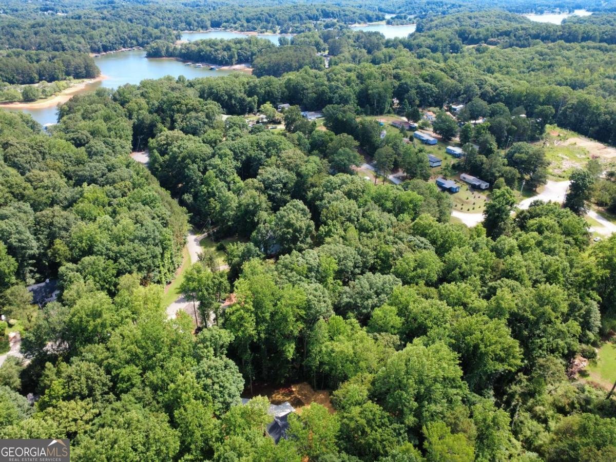 250 Sundown Drive Dawsonville - Photo 6