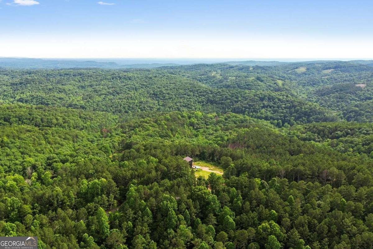 6333 Big Ridge Road Talking Rock - Photo 59