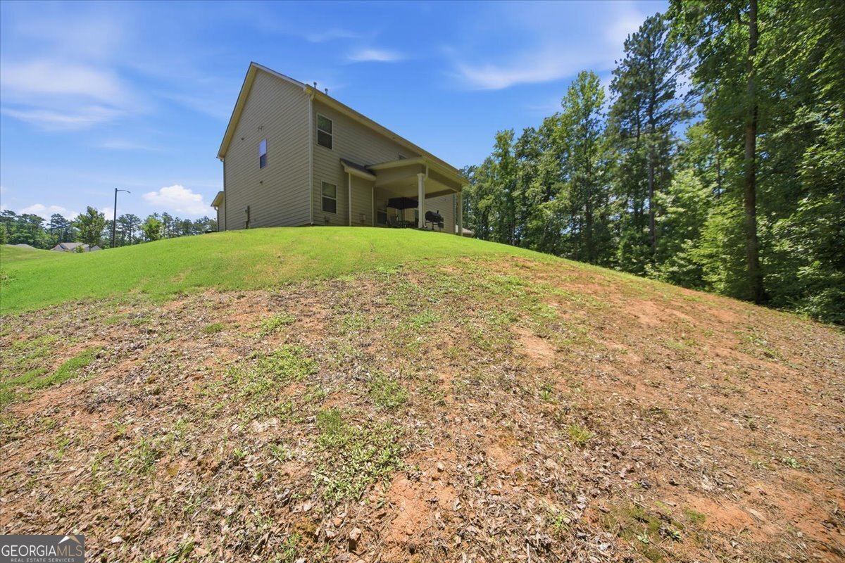 206 Pincourt Loop Griffin - Photo 36